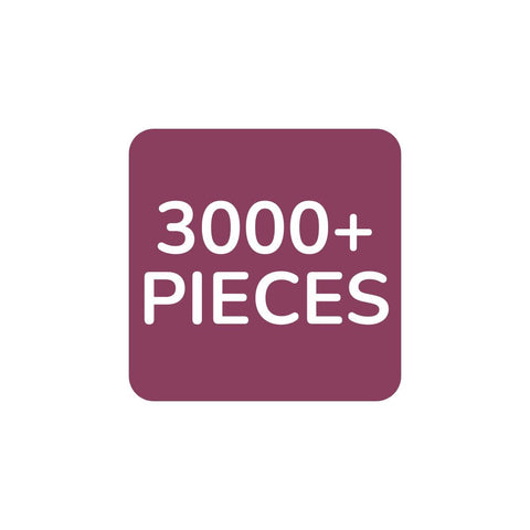 3000+ Pieces