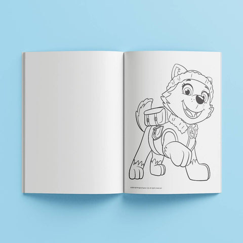 Paw Patrol Ultimate Colouring Carry Case 
