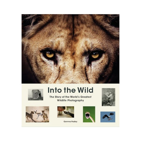 Into the Wild By Gemma Padley