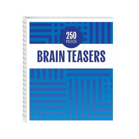250 Puzzles Brain Teasers