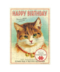 Cavallini Puzzle Greeting Card 60 Pc - Cat