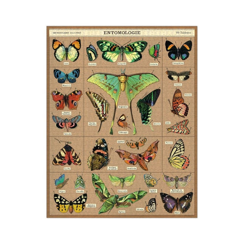 Cavallini - Entomology