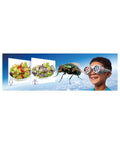Brainstorm Toys