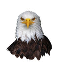 Madd Capp - I Am Eagle 550pc puzzle