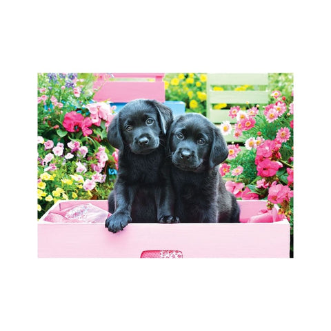 Eurographics - Black Labs In A Pink Box 500-piece puzzle