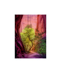 Heye - Power of Nature, Singing Canyon