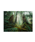 Ravensburger - In the Forest Puzzle 1000pc