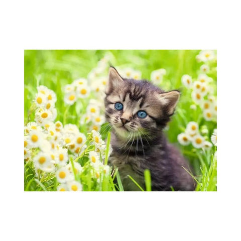 Ravensburger - Kitten in the Meadow 500-piece puzzle