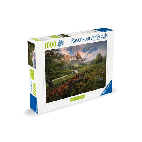 Ravensburger