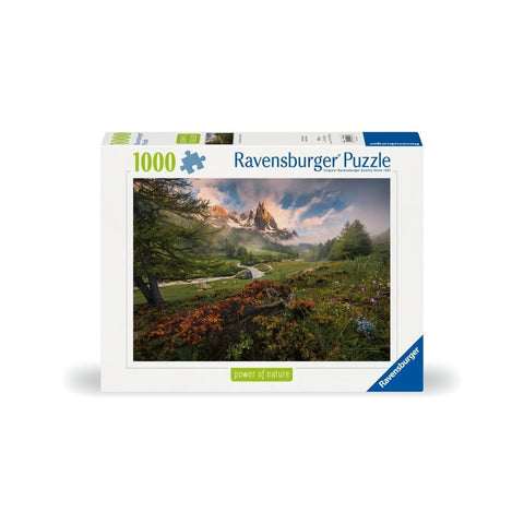 Ravensburger