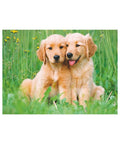 Ravensburger - The Golden Retriever Brothers 500pc puzzle