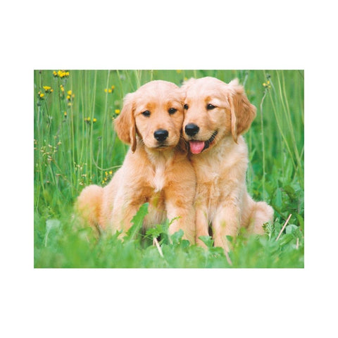 Ravensburger - The Golden Retriever Brothers 500pc puzzle