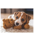 Ravensburger - Cuddle Buddies 500pc puzzle