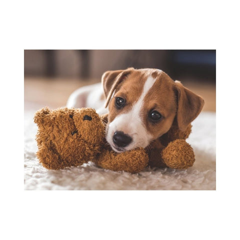 Ravensburger - Cuddle Buddies 500pc puzzle