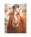 Ravensburger - The Little Rider 500pc puzzle