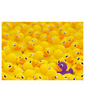 Ravensburger - Rubber Ducks Challenge 