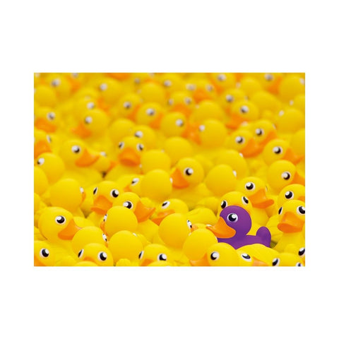 Ravensburger - Rubber Ducks Challenge 