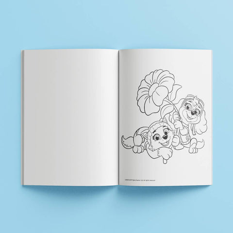 Paw Patrol Ultimate Colouring Carry Case 