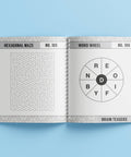 250 Puzzles Brain Teasers