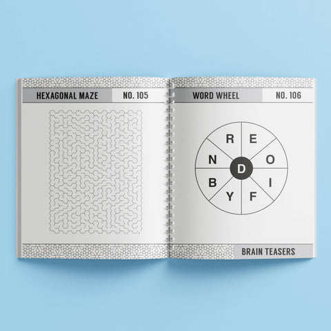 250 Puzzles Brain Teasers