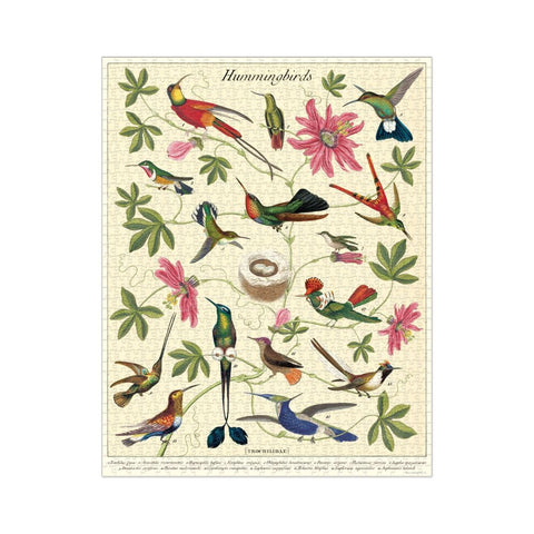 Hummingbird