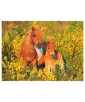 Ravensburger - Shetland Ponies 100pc XXL puzzle
