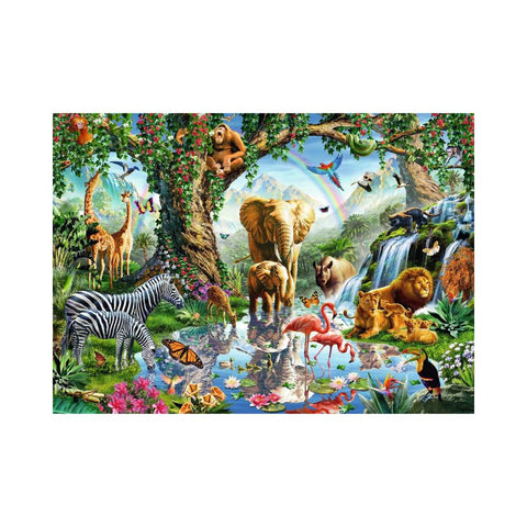 Adventures in the Jungle