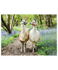 Ravensburger 100pc Puzzle Llama Love