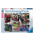 Ravensburger