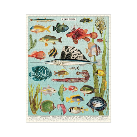 Cavallini