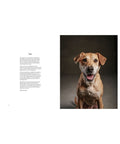 The Year of the Dogs by Vincent J. Musi1