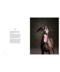 The Year of the Dogs by Vincent J. Musi