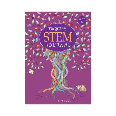 Targeting STEM Year 6